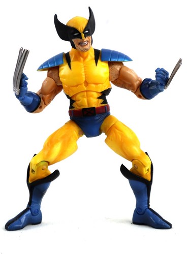 Marvel men tiger stripe - tiger,