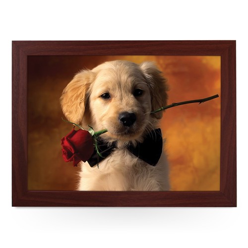 Nuovo regalo per - , laptop
