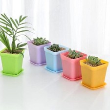 15x Mini Rotonda Grasse