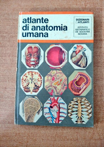 Atlante anatomia umana - atlante,