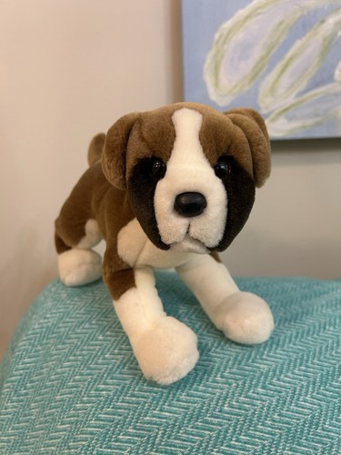 Douglas romeo boxer coccola - romeo,