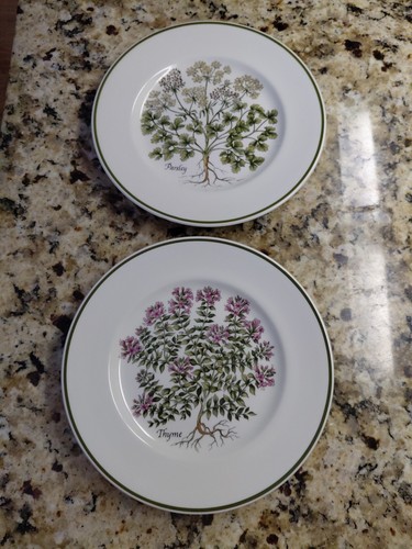 Piatti piccoli erbe tiffany - piccoli,
