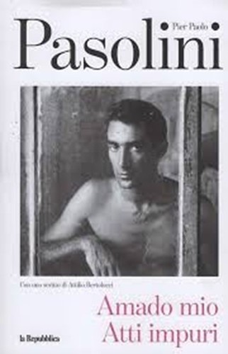Amado mio p - p, pasolini