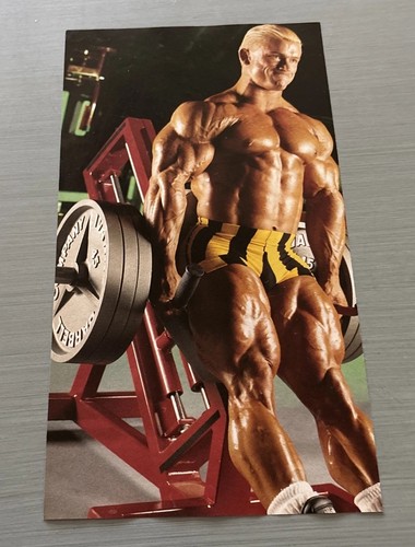 Lee priest hack - lee, leg