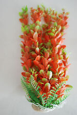 Acquario Piante Ca 50 CM Alto