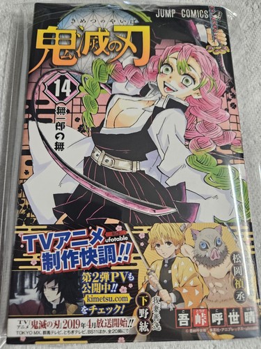 Demon slayer manga - manga, 14