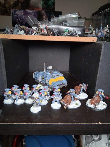 Lotto lupi spaziali warhammer - spaziali,