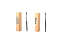 Coppia Pistoncini Portellone