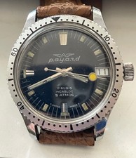 Payard diver