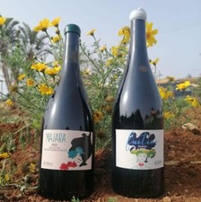 Bottles fuitina 2021 - 6,
