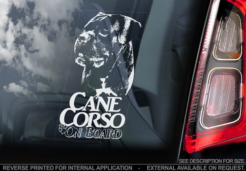 Cane corso car window - car,