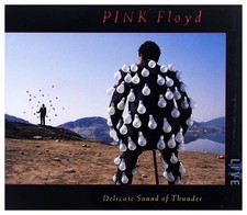 Delicate Sound of Thunder