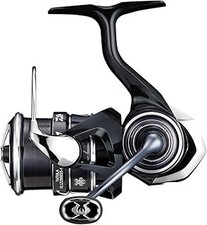 NEW Daiwa タトゥーラ