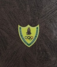 Patch Toppa Fiamme Gialle Ricamata Termoadesiva e da Cucire 8x7cm