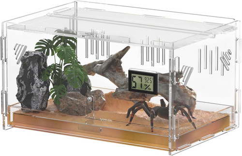 Terrari rettili con igrometro - con,