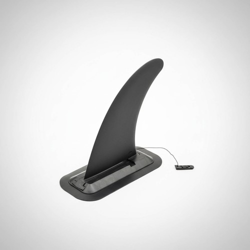 Pinna wave riding - pinna, da
