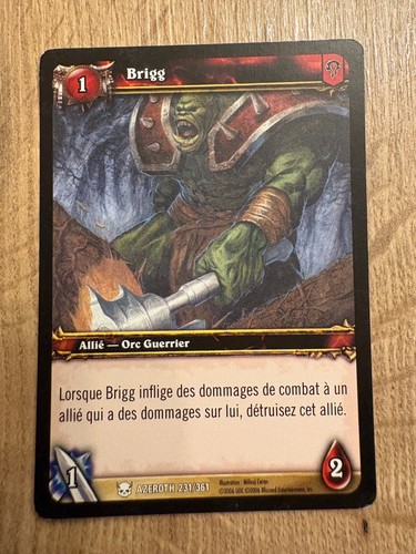 Carte 231 361 brigg - /,