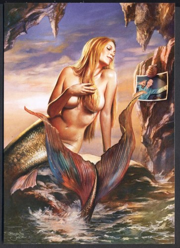Promo postcard for lynx - postcard,