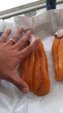 Bottarga   Muggine