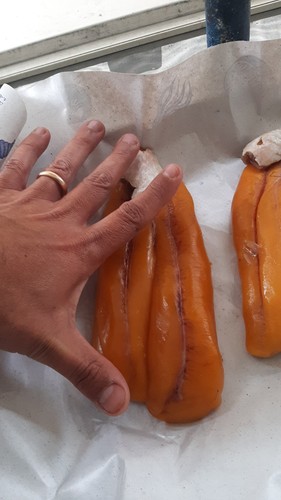 Bottarga muggine - ,
