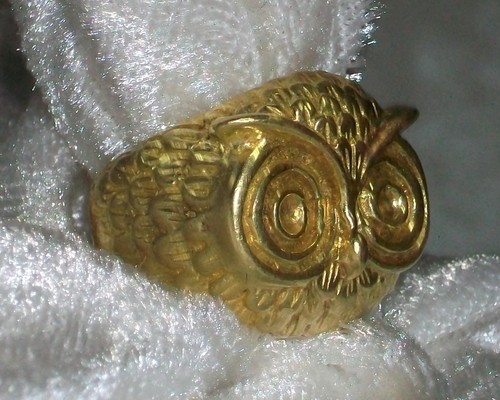 Anello uccellino nottambulo