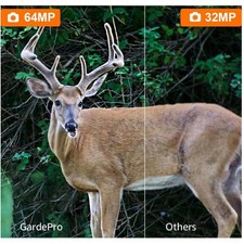 Fotocamera a3s wildlife - a3s,