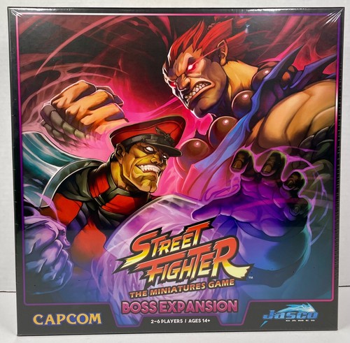 Street fighter the miniatures - fighter,