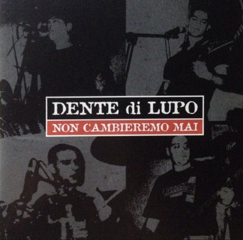 Dente lupo non - dente,