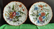 Coppia Di Piatti in ceramica decorativi Bassano