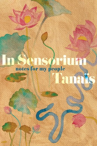 Sensorium notes for - in,