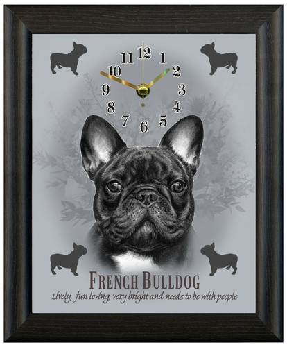 Bulldog francese nero - , regalo