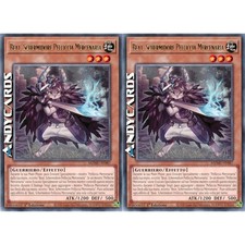 BEAT, SCHERMIDORE PELLICCIA