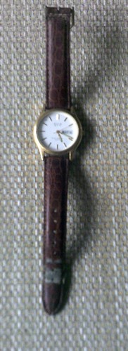 Orologio gentlemans avia v - orologio, q&v