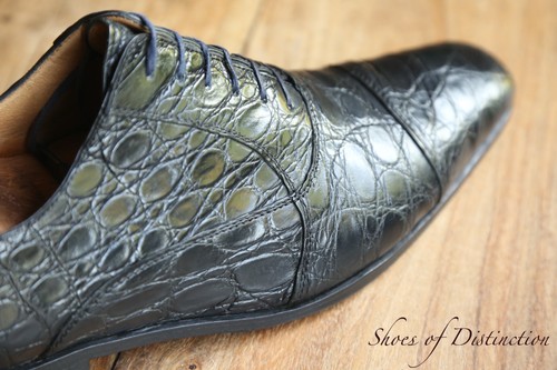 Scarpe oxford stemar vera - scarpe,