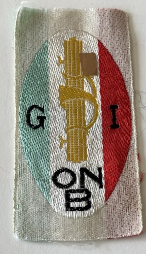 Distintivo tessuto stoffa - distintivo, onb