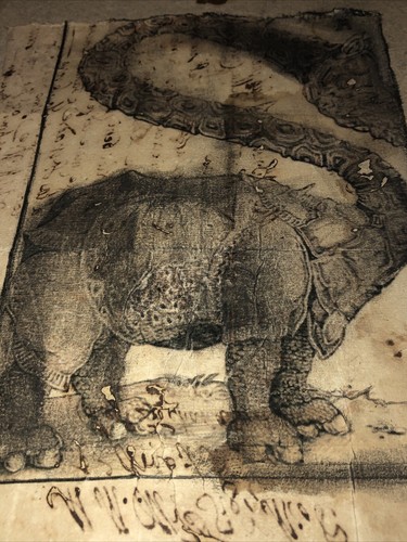 Vecchio disegno faunistico - vecchio,