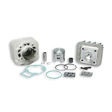 GRUPPO TERMICO MALOSSI 318463