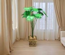 Palma per casa delle bambole