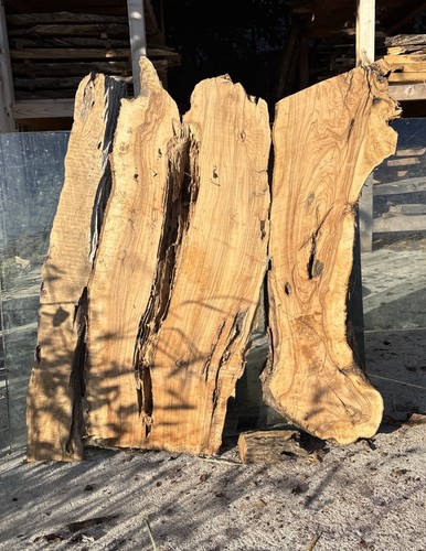 Tavole legno ulivo max - 3,