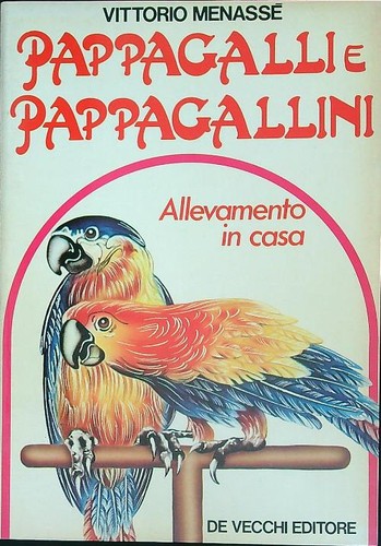 Pappagalli pappagallini - pappagalli,
