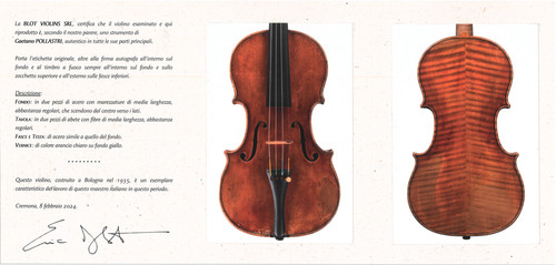 Violino gaetano pollastri - violino,