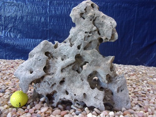 Texas holey rock - holey,