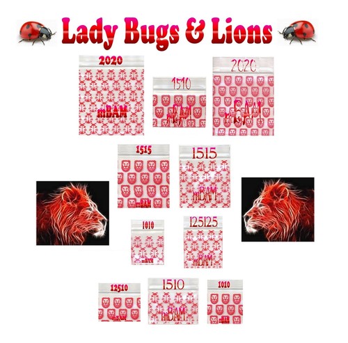 Lotto 200 delle lady - lotto,