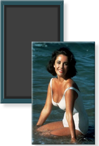 Elizabeth liz taylor costume - liz,
