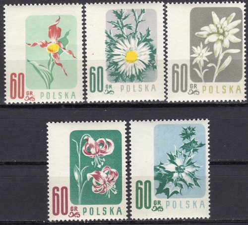 Polonia 1957 fischer 876 880 - fischer, 876-880