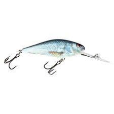 Salmo Executor Esche