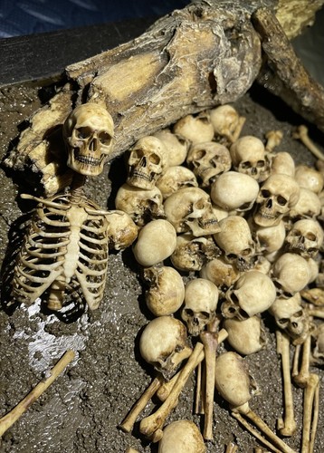 Scale action figure skull - scale,