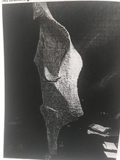 scultura in gesso Novello