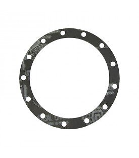 Guarnizione 220x175x2mm - en,