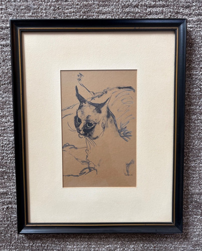Schizzo gatto siamese